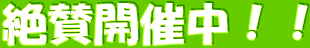 絶賛開催中!!
